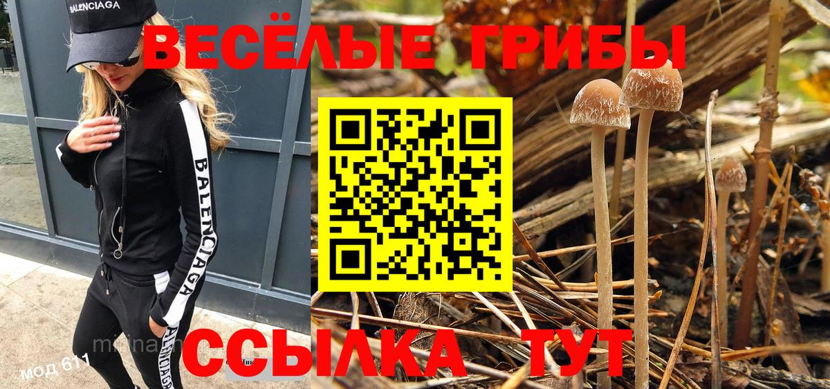 Протвино  Галлюциногенные грибы Psilocybine cubensis  Вход с VPN 